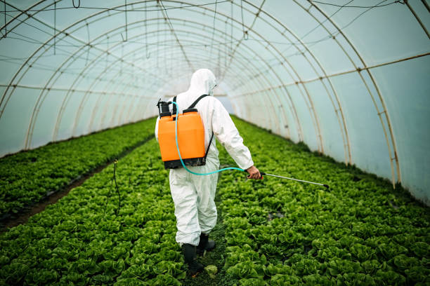 Reliable West Mayfield, PA Pest Control Solutions