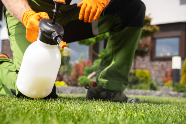 Best Emergency Pest Control  in West Mayfield, PA