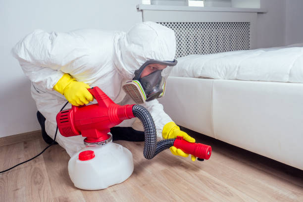 Best Insect Control  in West Mayfield, PA