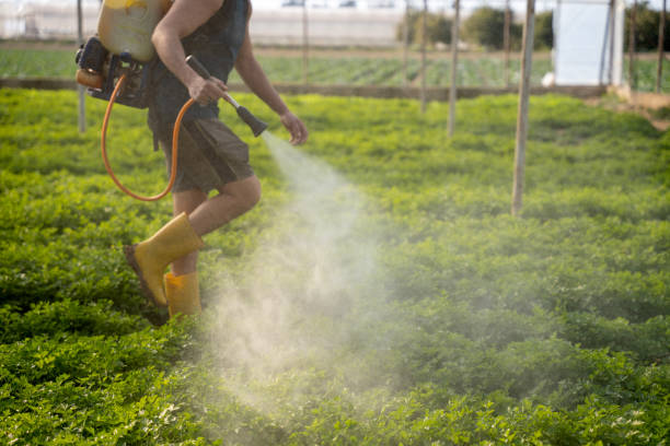 Best Residential Pest Control  in West Mayfield, PA