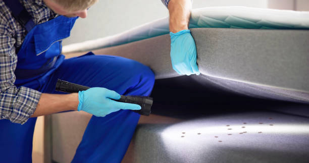 Wasp Removal Services in West Mayfield, PA
