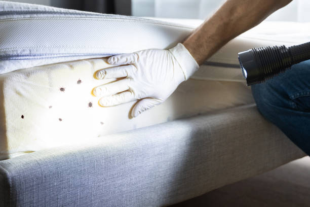Best Local Pest Control Services  in West Mayfield, PA