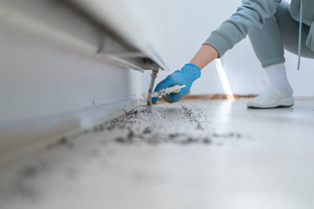 Best Spider Control Near Me  in West Mayfield, PA