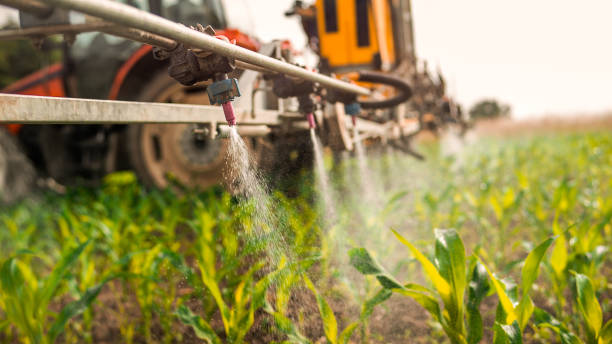 Best Ant Control Services  in West Mayfield, PA
