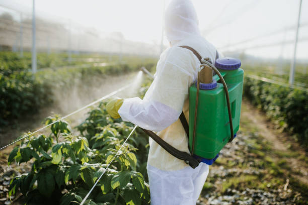 Best Wasp Removal Services  in West Mayfield, PA